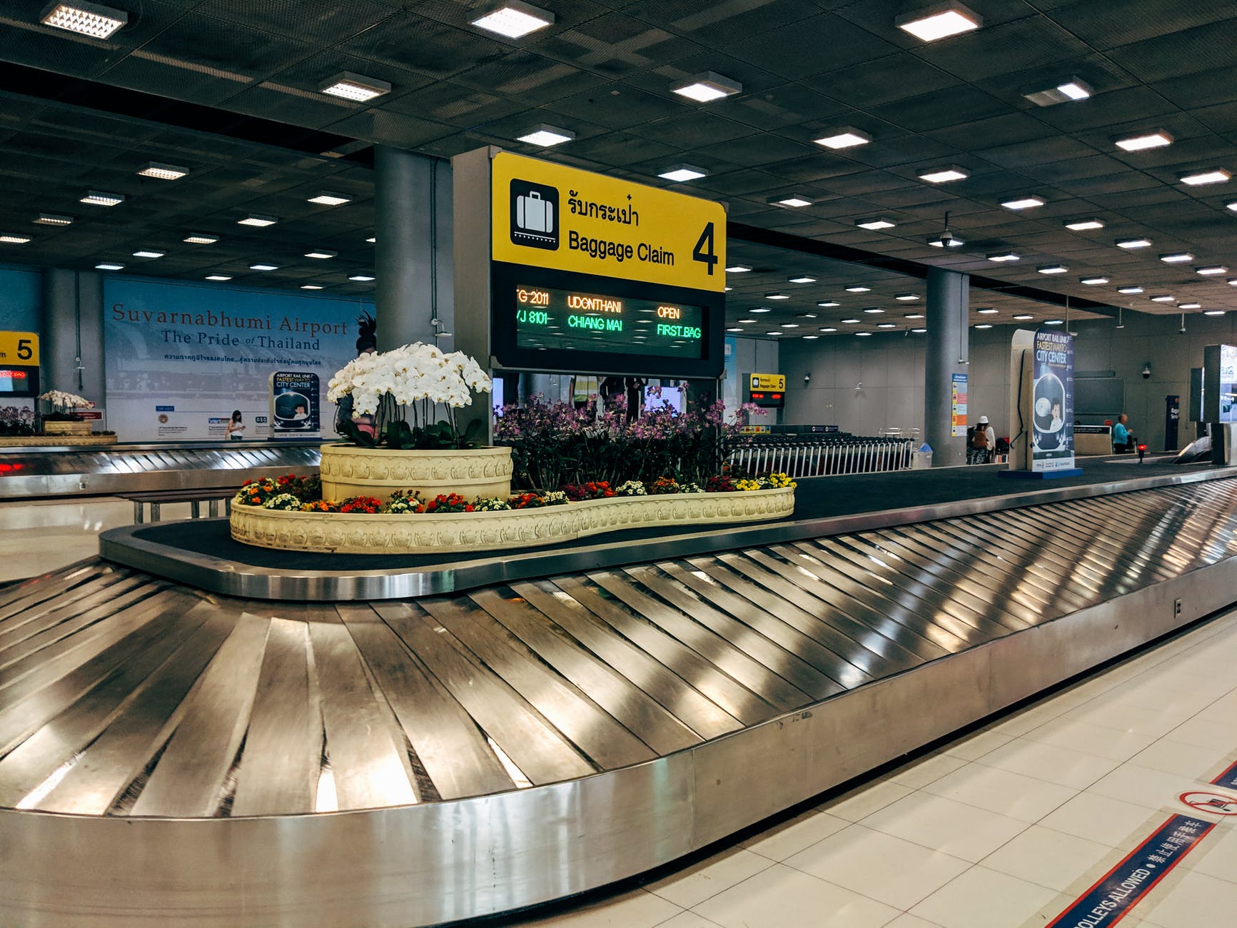 What Conveyor Belt Choices Should You Offer to Buyers?