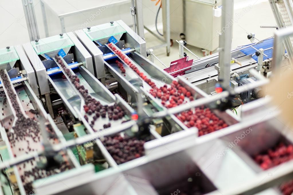 frozen raspberry processing business